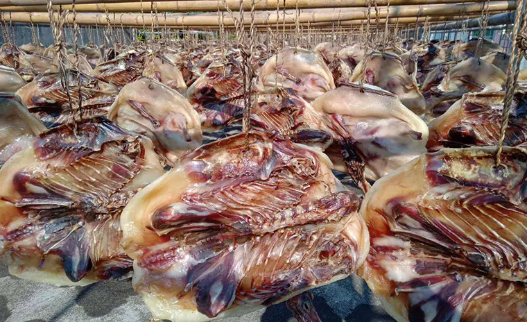 肉制品烘干項目