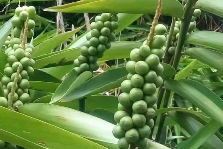 微信圖片_20240515155406.jpg 微信圖片_20240515155406.jpg