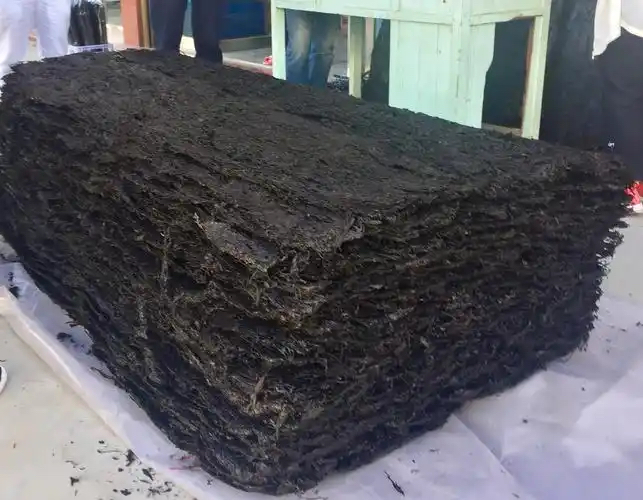 ae4bdccdf8058dc319a653f6ea18a75.jpg ae4bdccdf8058dc319a653f6ea18a75.jpg