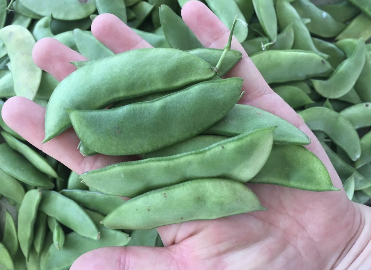 646264f7c53ceed2d5a6c3f11fde7eb.jpg 646264f7c53ceed2d5a6c3f11fde7eb.jpg