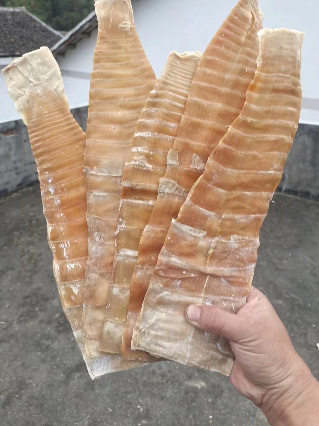 不同的烘干方式，竹筍的烘干品質也不一樣