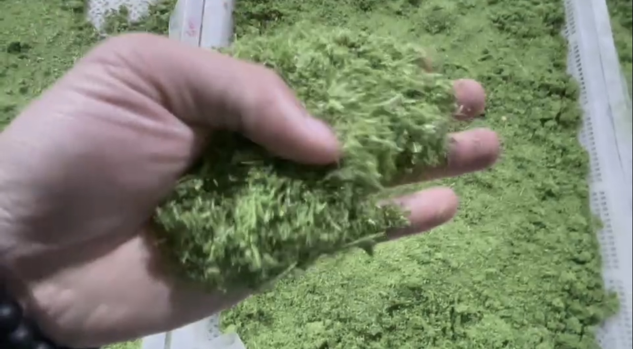 牧草烘干：含水量從80%降至15%以下，保持翠綠不變色。
