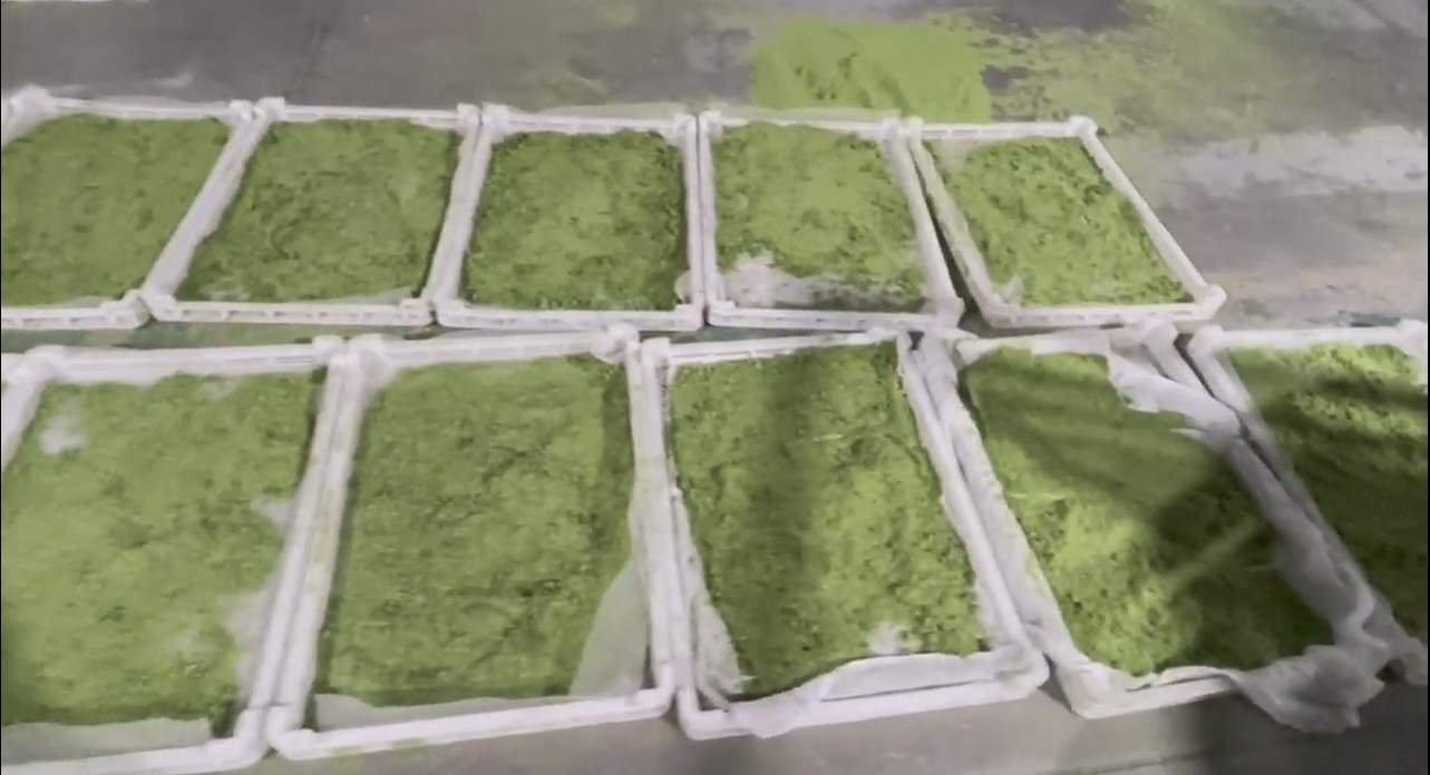 牧草烘干：含水量從80%降至15%以下，保持翠綠不變色。