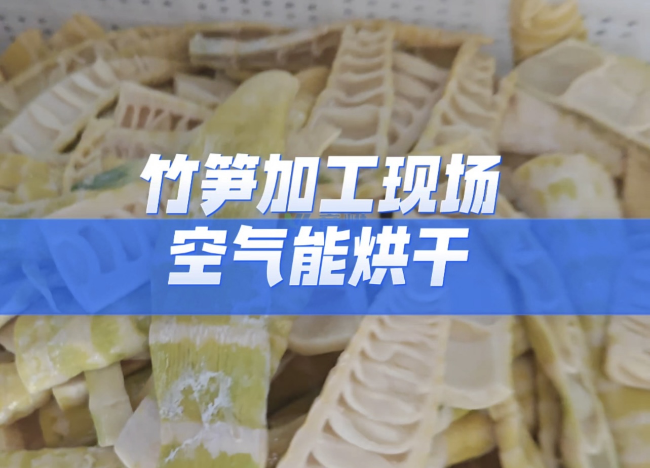 熱泵烘干竹筍：精準控溫鎖脆嫩，品質穩定