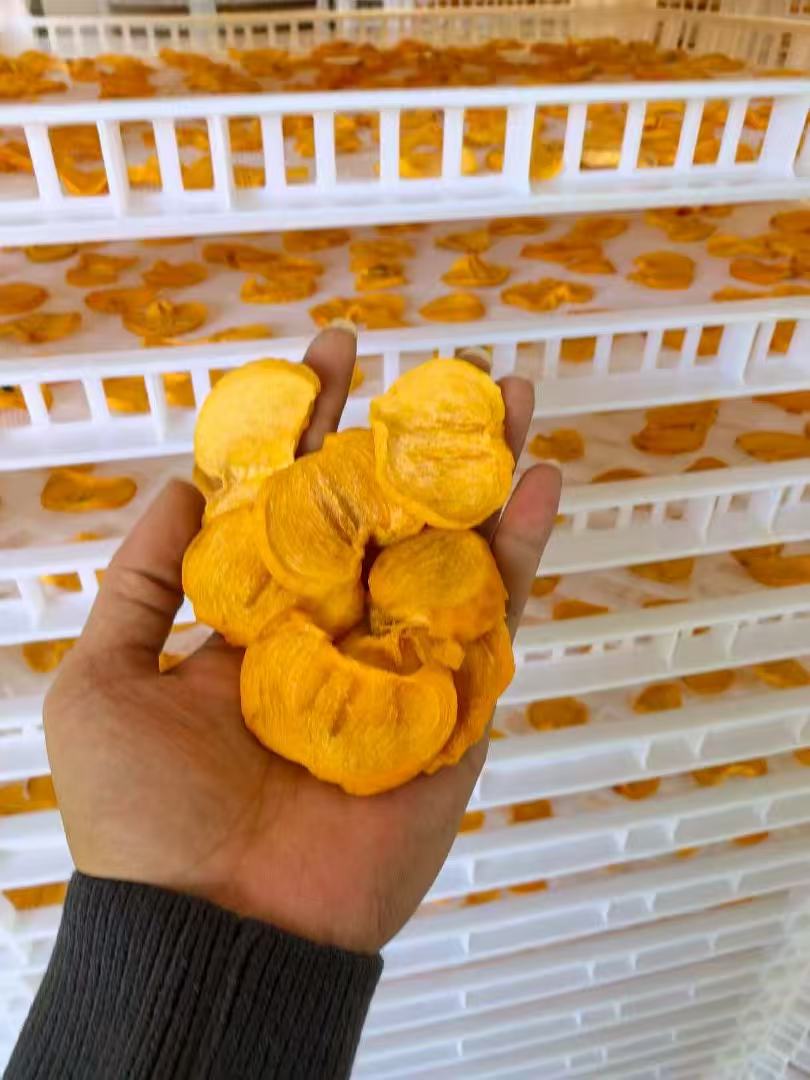 柿餅片烘干項目