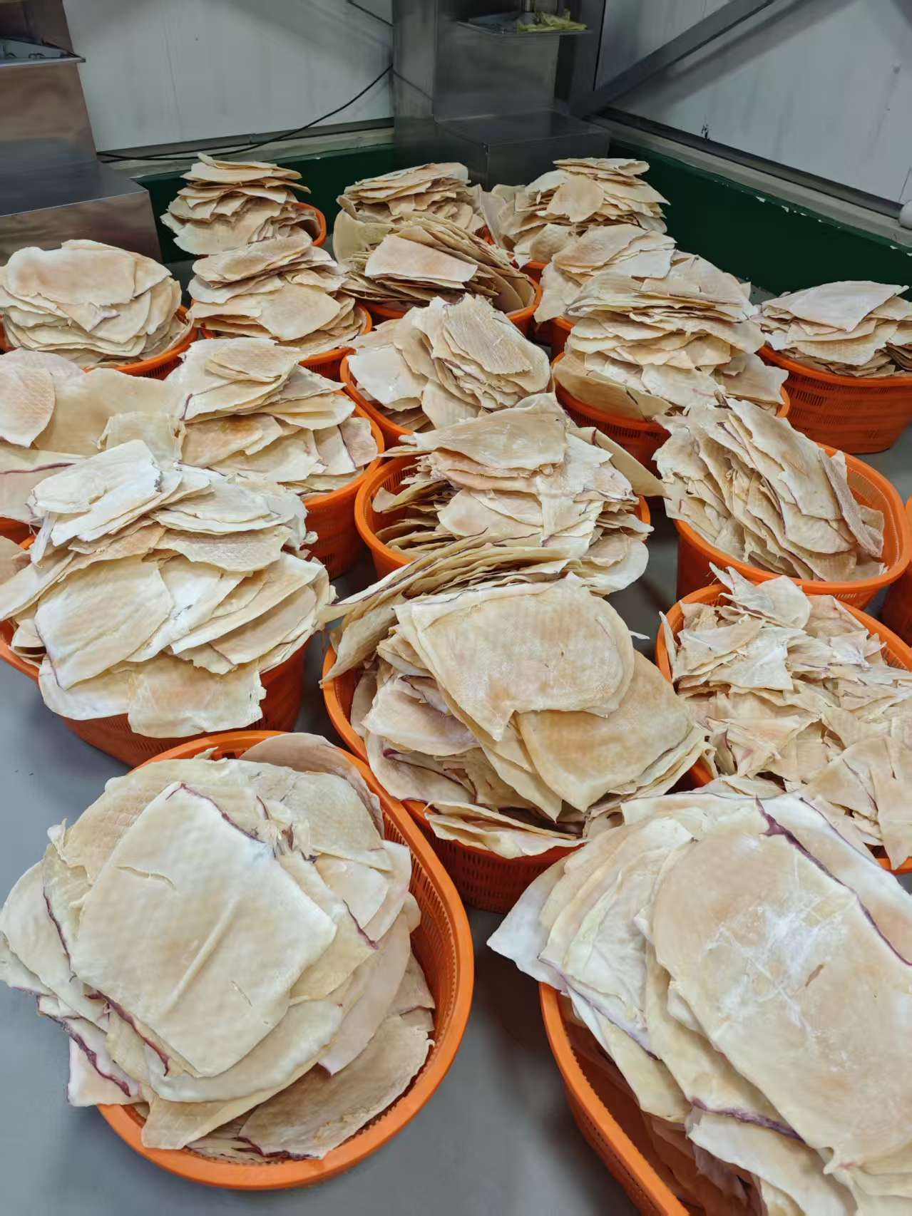 舟山魷魚絲烘干項目