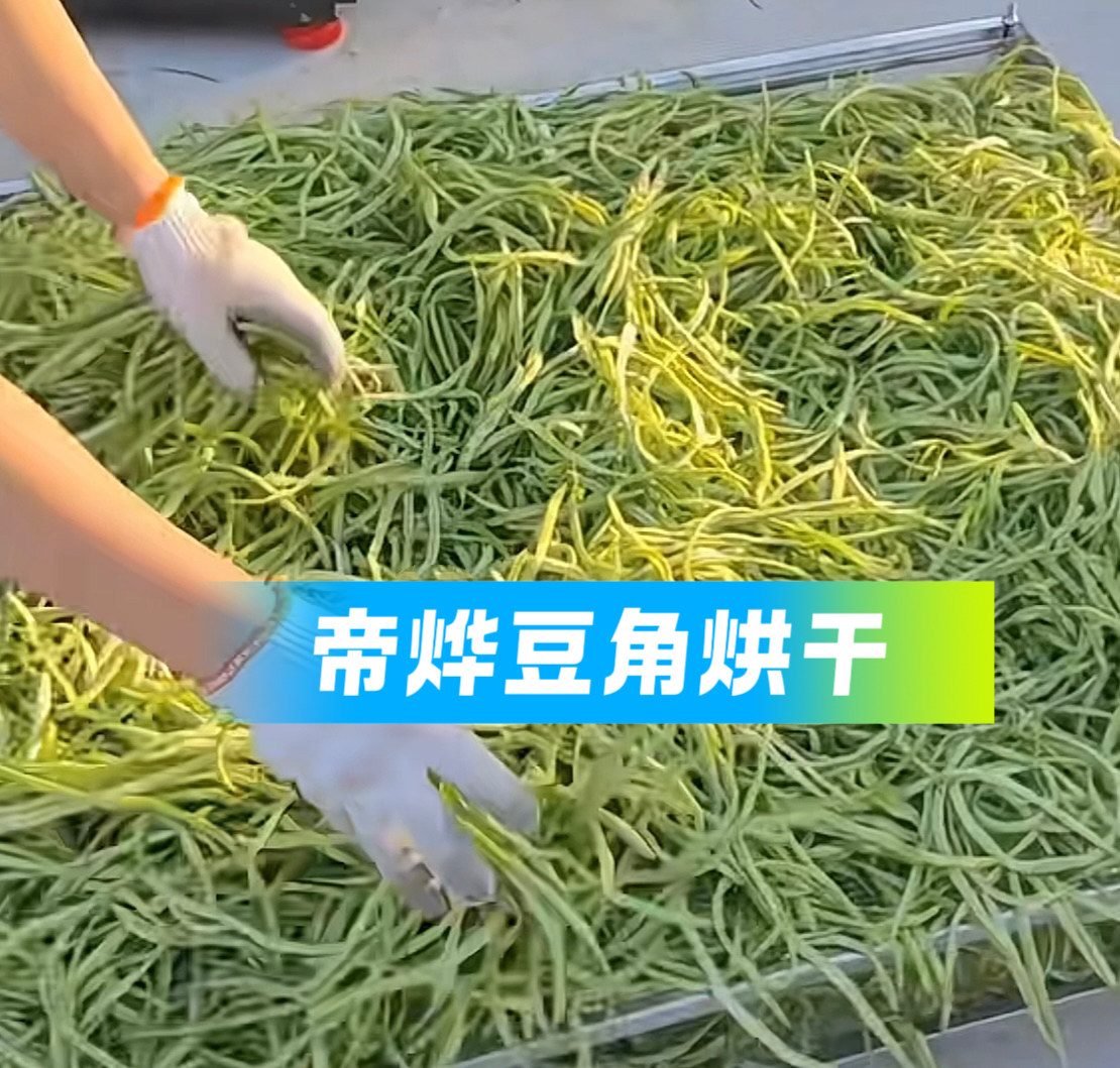 豆角烘干