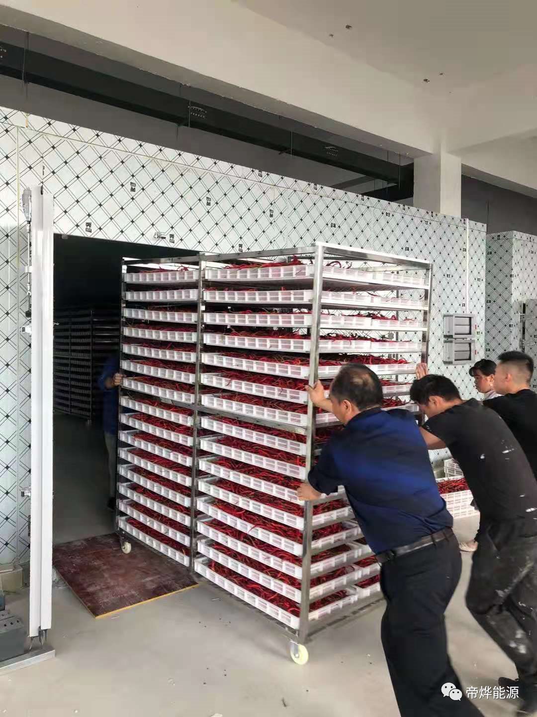 帝燁辣椒烘干機 省電 70% 量產加工專用