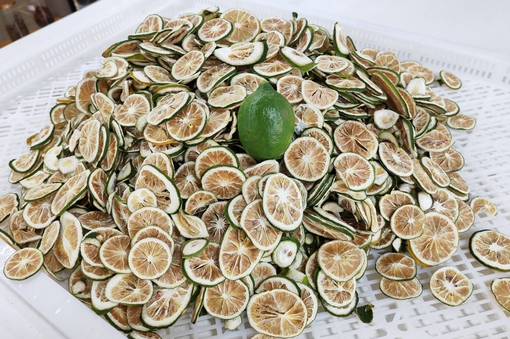 蘋果干桃干檸檬干帝燁空氣能烘干房 節(jié)能恒溫