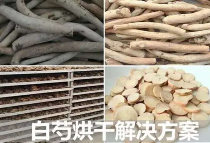 中藥材白芍烘干：空氣能熱泵優(yōu)勢詳解