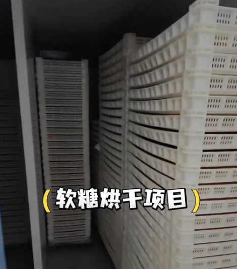軟糖烘干