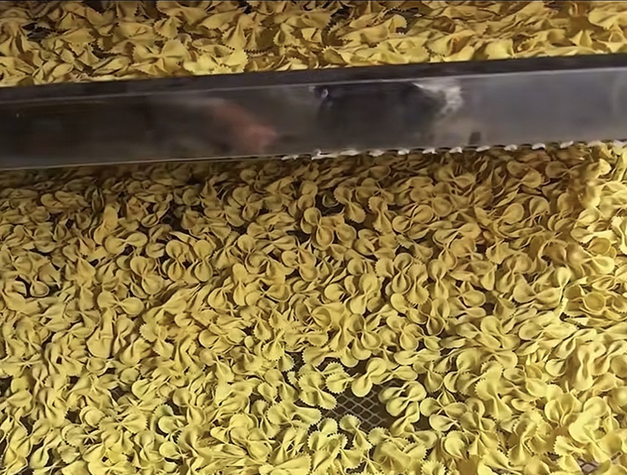 帝燁閉環(huán)空氣能烘干：蝴蝶面含水率可控＜10%，助力面制品加工提質增效