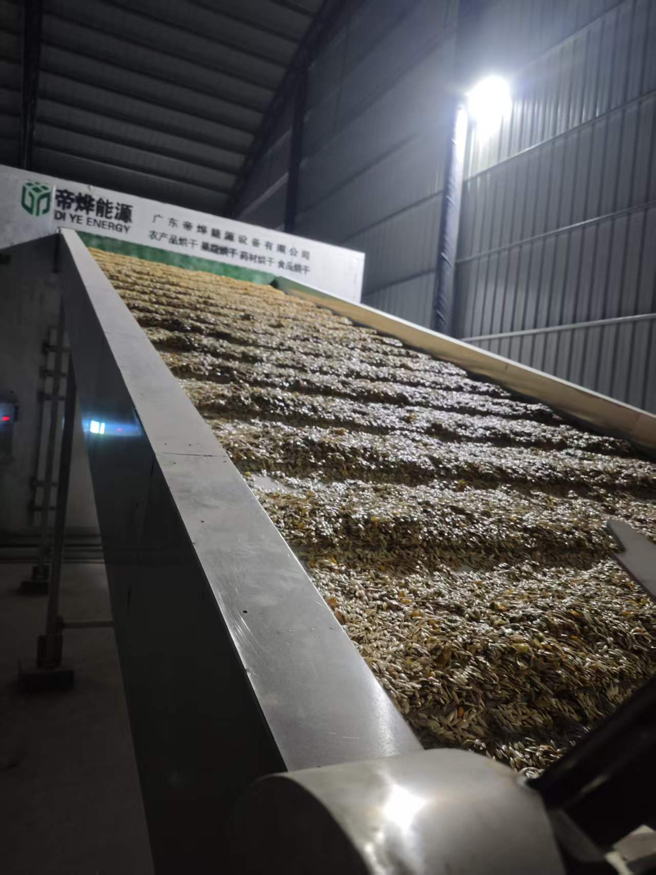 寶葫蘆籽烘干，保殼保色